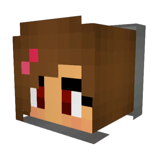 Selosel Minecraft avatar head, 3D render