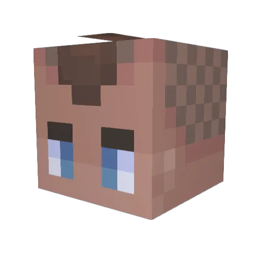 Selptcher Minecraft avatar head, 3D render