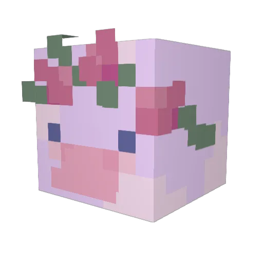 Selpye Minecraft avatar head, 3D render
