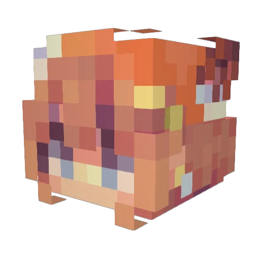 Selrida Minecraft avatar head, 3D render