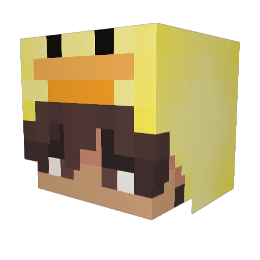 Selsfy Minecraft avatar head, 3D render