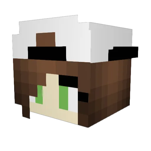 Selter_06 Minecraft avatar head, 3D render