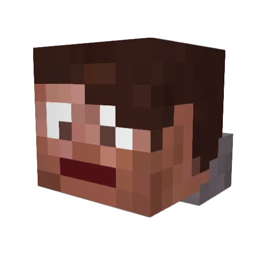 Selterboy Minecraft avatar head, 3D render