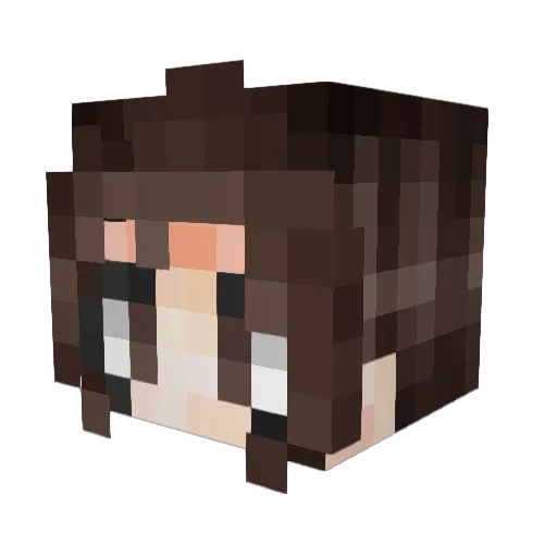 Seltzlol Minecraft avatar head, 3D render