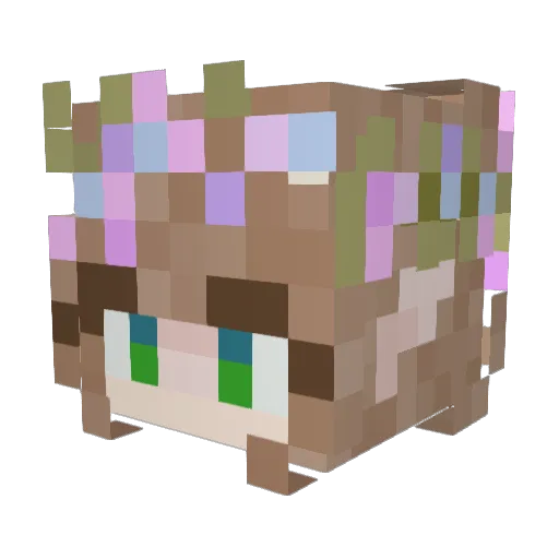 Selune_Lysveil Minecraft avatar head, 3D render