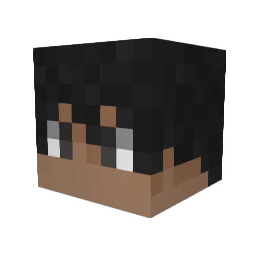 Selvagem Minecraft avatar head, 3D render