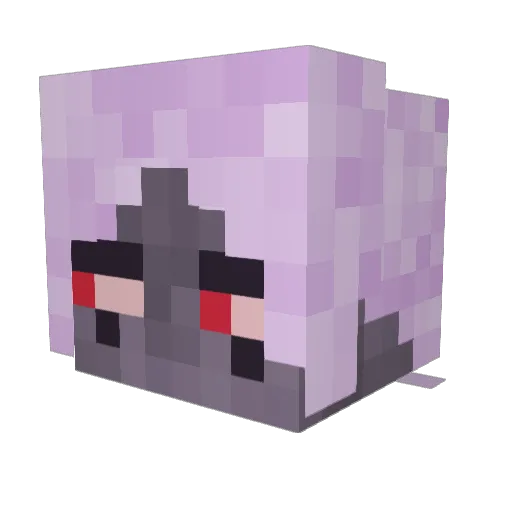 Selvandar Minecraft avatar head, 3D render