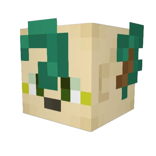 Selvara_ Minecraft avatar head, 3D render