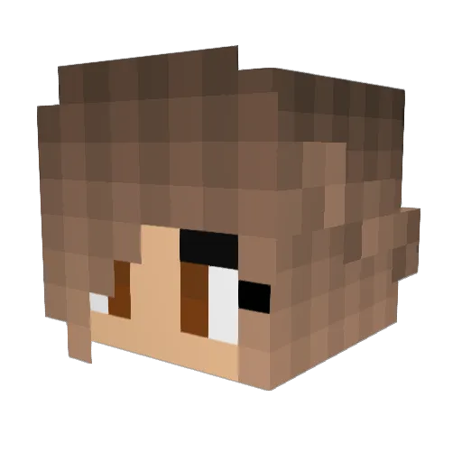 Selweyn Minecraft avatar head, 3D render