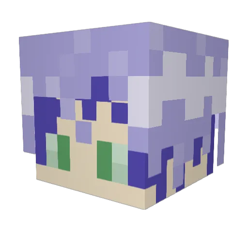 Selwyn1 Minecraft avatar head, 3D render