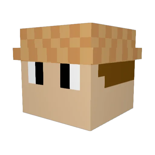 Selz_ Minecraft avatar head, 3D render