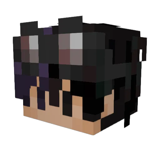Semguast Minecraft avatar head, 3D render