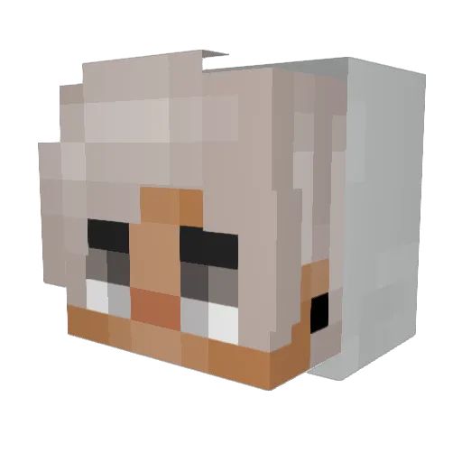 SemiBoiG Minecraft avatar head, 3D render