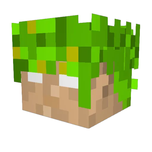 SemmyZK Minecraft avatar head, 3D render