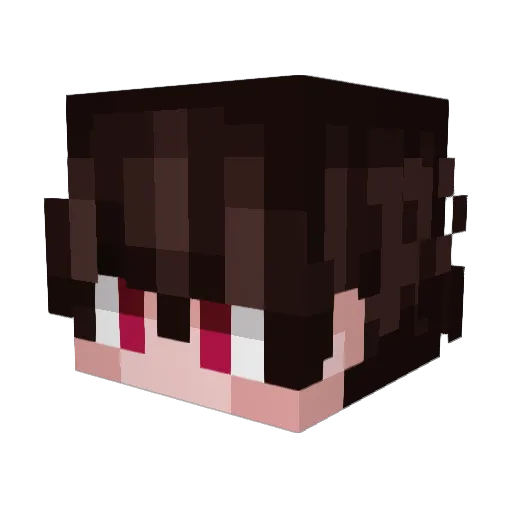 Sen925 Minecraft avatar head, 3D render