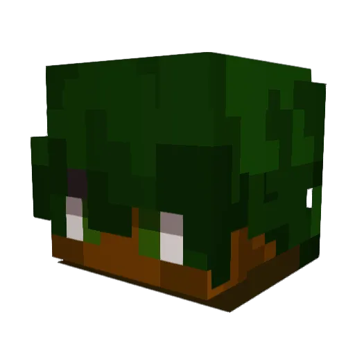 Sen98 Minecraft avatar head, 3D render