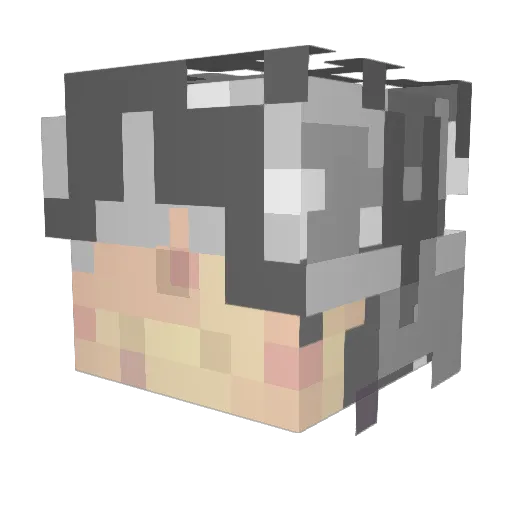 SenCool Minecraft avatar head, 3D render
