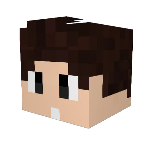 SenFly_YT Minecraft avatar head, 3D render