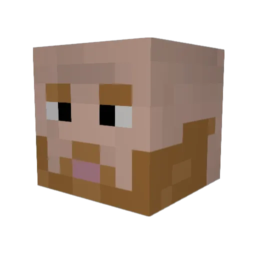 SenJavi Minecraft avatar head, 3D render