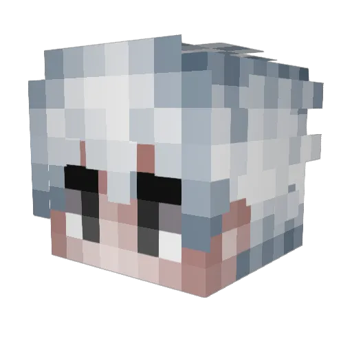 SenKeyMaS Minecraft avatar head, 3D render