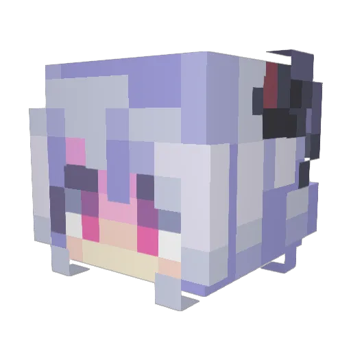 Sena8521 Minecraft avatar head, 3D render