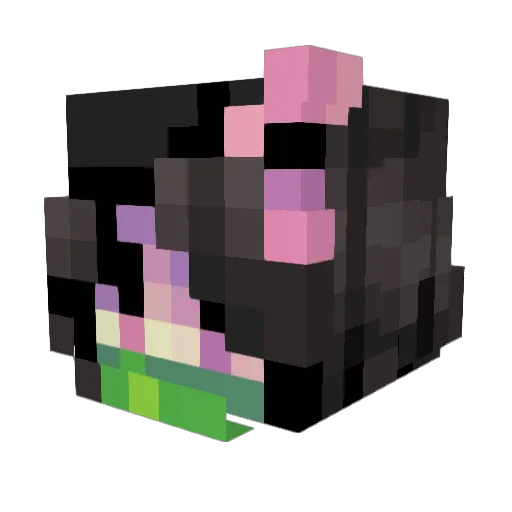 SenaDaBeans Minecraft avatar head, 3D render