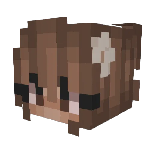 SenaNur Minecraft avatar head, 3D render