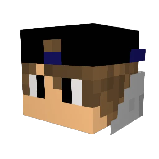 Senain Minecraft avatar head, 3D render