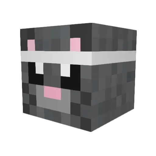 Senates Minecraft avatar head, 3D render