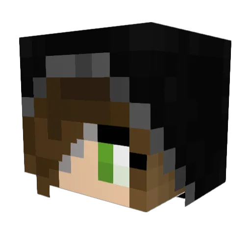 Senator_Fluffy2 Minecraft avatar head, 3D render