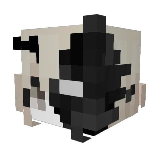 Senayxz Minecraft avatar head, 3D render