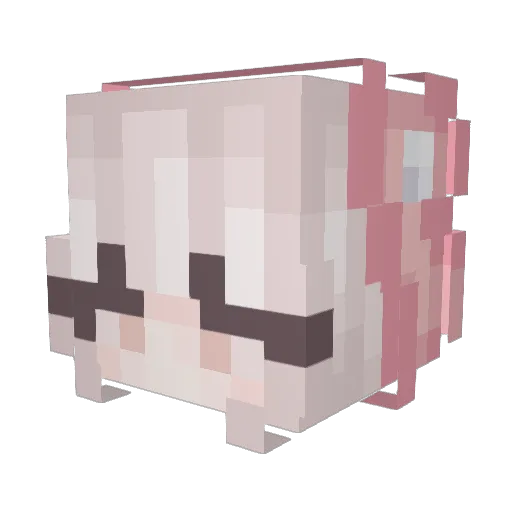 SendCatPictures Minecraft avatar head, 3D render