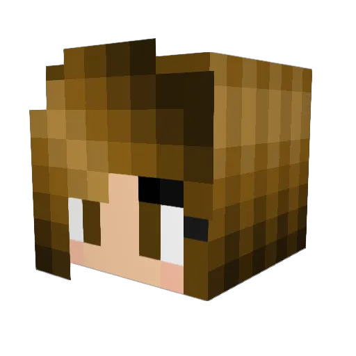 SendYourselfHome Minecraft avatar head, 3D render