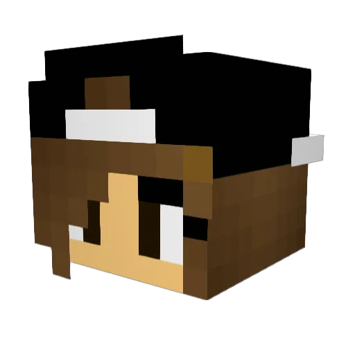 Sendi66 Minecraft avatar head, 3D render