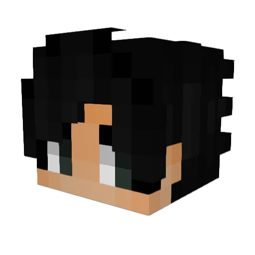 Sendows Minecraft avatar head, 3D render