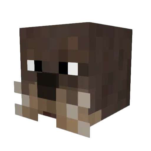 Seneca Minecraft avatar head, 3D render