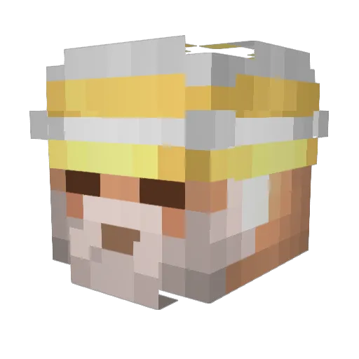 SenelisDeimjanas Minecraft avatar head, 3D render