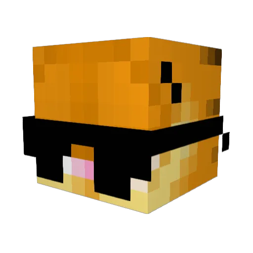 SenfiBW Minecraft avatar head, 3D render