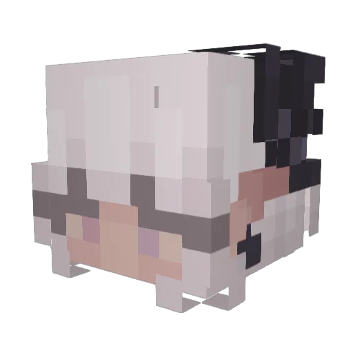 Senflowa Minecraft avatar head, 3D render