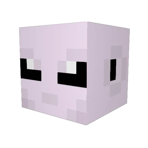 SenhorJoow Minecraft avatar head, 3D render