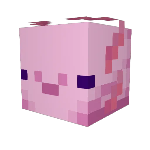 SenhorMeow Minecraft avatar head, 3D render