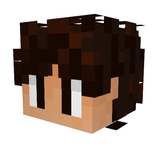 Senhorito12 Minecraft avatar head, 3D render