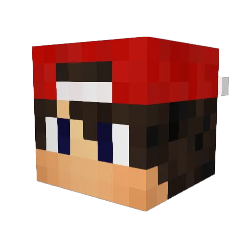 Senhorito Minecraft avatar head, 3D render