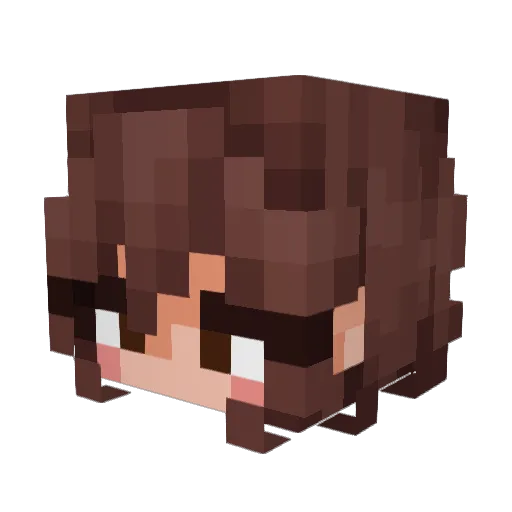 Seninhaw Minecraft avatar head, 3D render