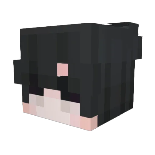SeniorBueno10 Minecraft avatar head, 3D render