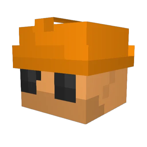 SeniorChief789 Minecraft avatar head, 3D render