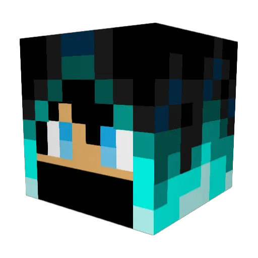 SeniorJelly Minecraft avatar head, 3D render