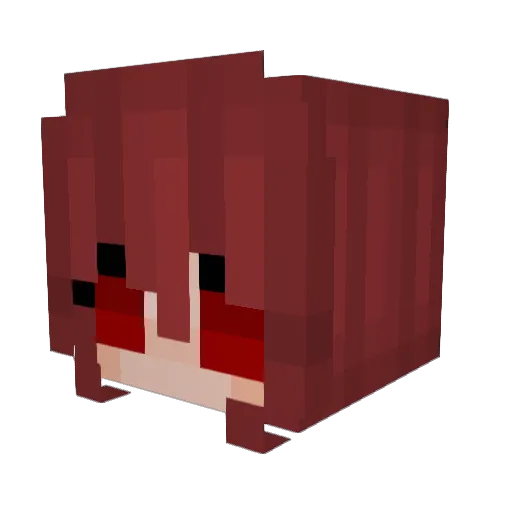 SeniorMaxi Minecraft avatar head, 3D render