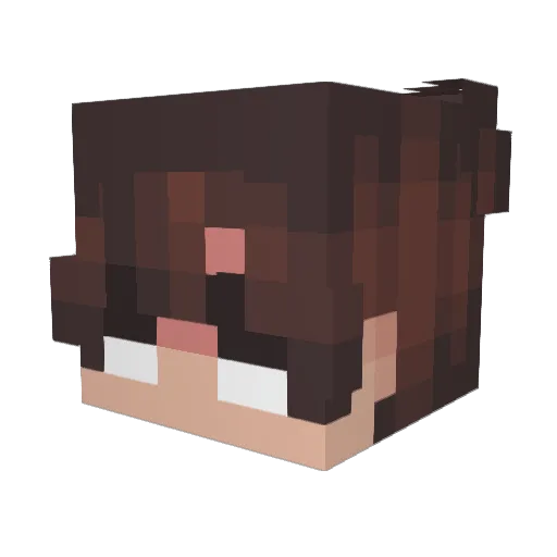 SeniorNovaSpark Minecraft avatar head, 3D render
