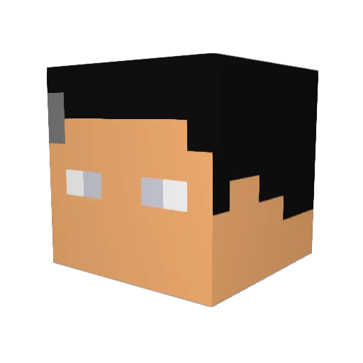 SeniorPug Minecraft avatar head, 3D render